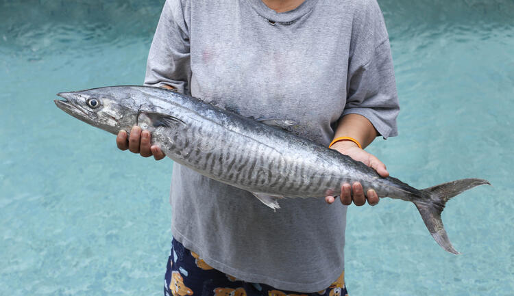 Where to Go for Middle East Fishing Adventures