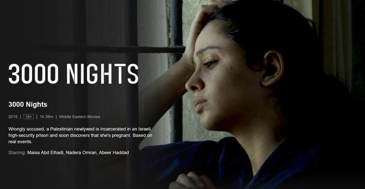 Palestinian Films to Watch on Netflix