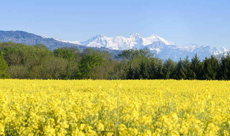 Five Springtime Nature Getaways