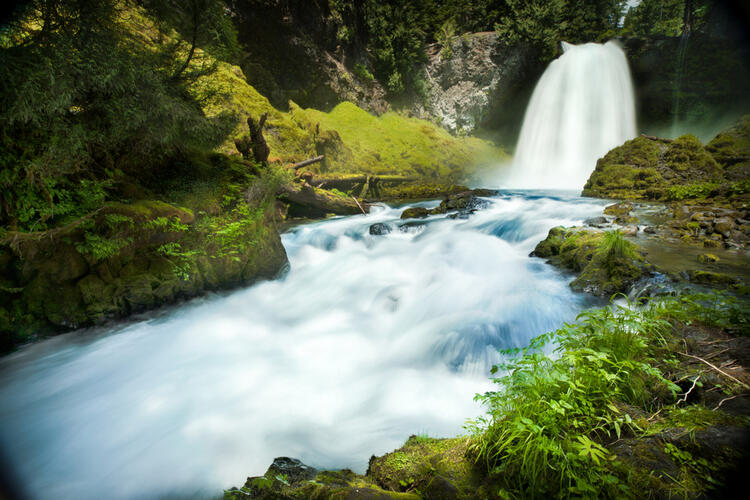 Five Springtime Nature Getaways