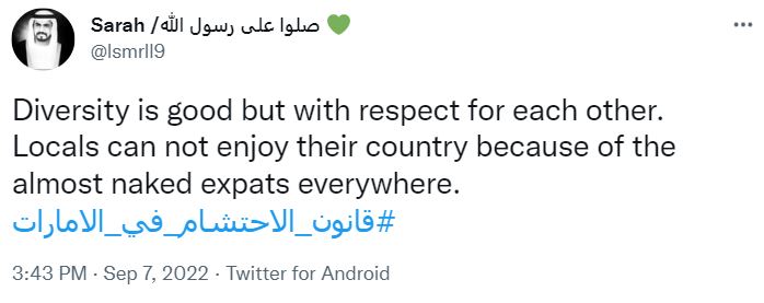 modesty law UAE