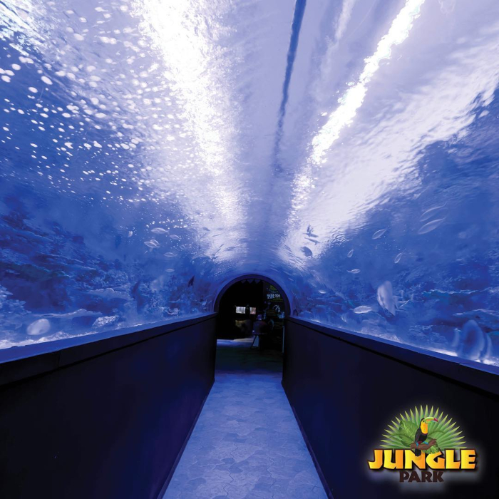 Jungle Park