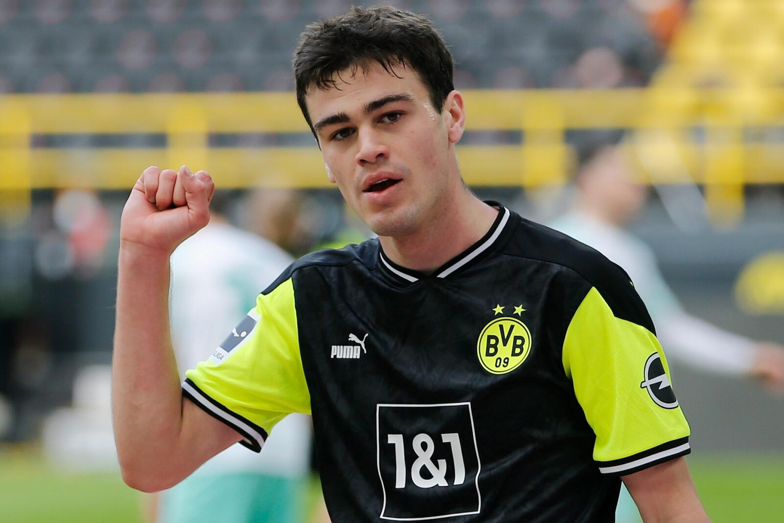 جيوفاني رينا