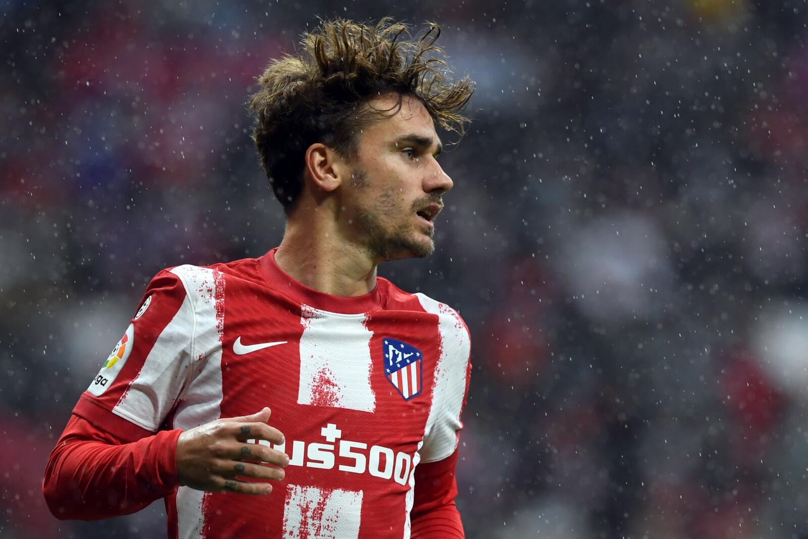 أنتوان غريزمان