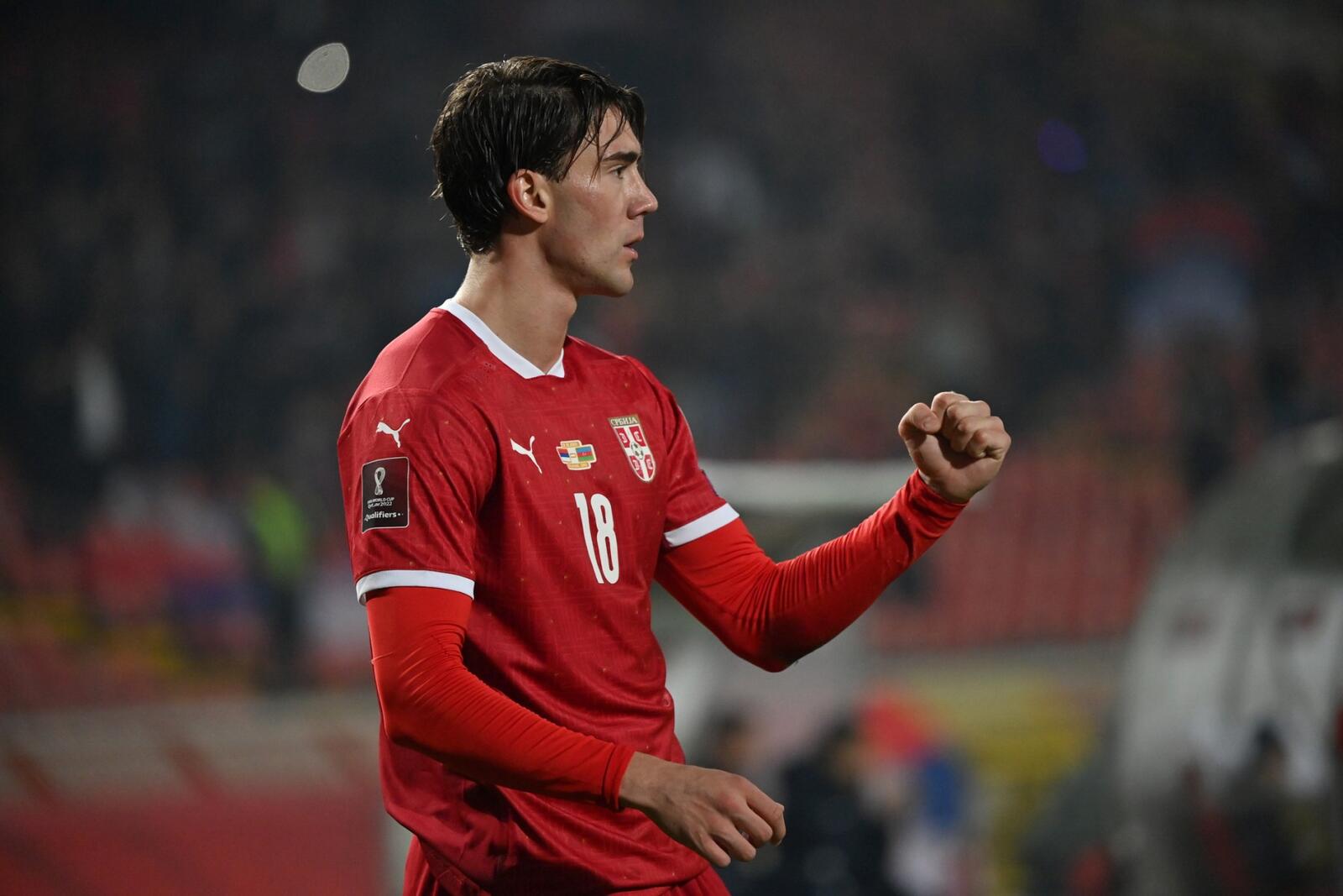 Dusan Vlahovic (Photo: AFP)