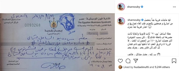 محمد الشرنوبي