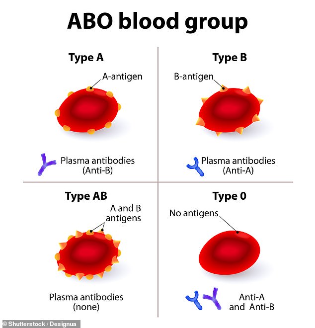 Blood Type A people are more likely to catch coronavirus