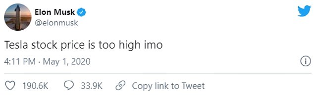 the public figure Elon Musk