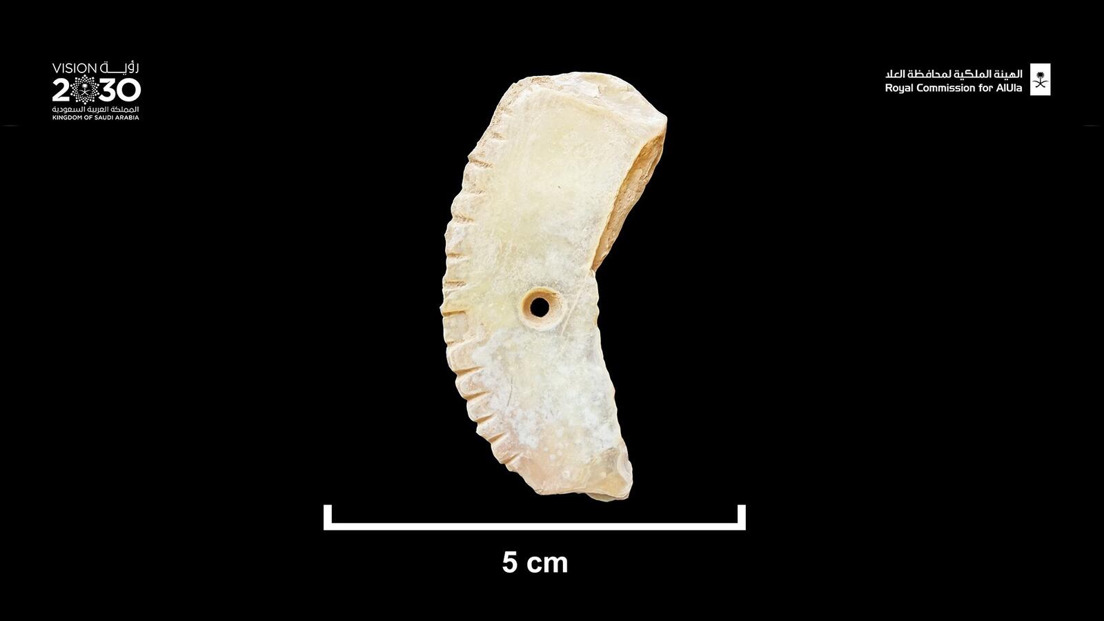 Arabian Peninsula evidence dogs coexisted with humans