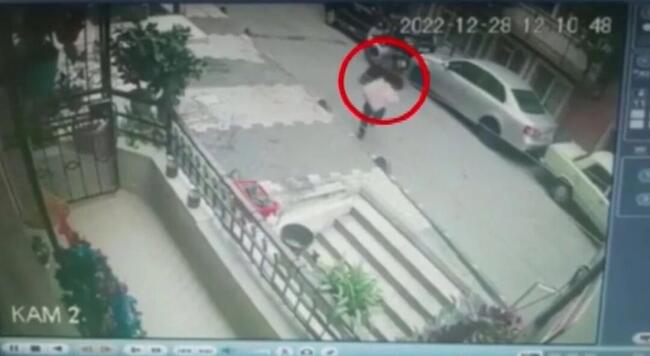 سيتشيل شيفتجي