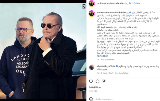 محمود عبدالعزيز