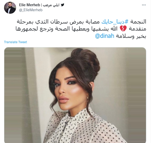 دينا حايك