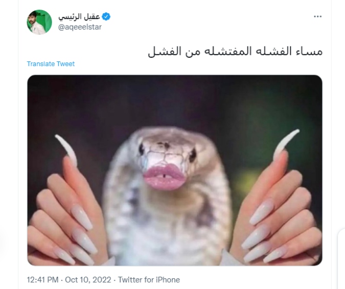 شوق الهادي
