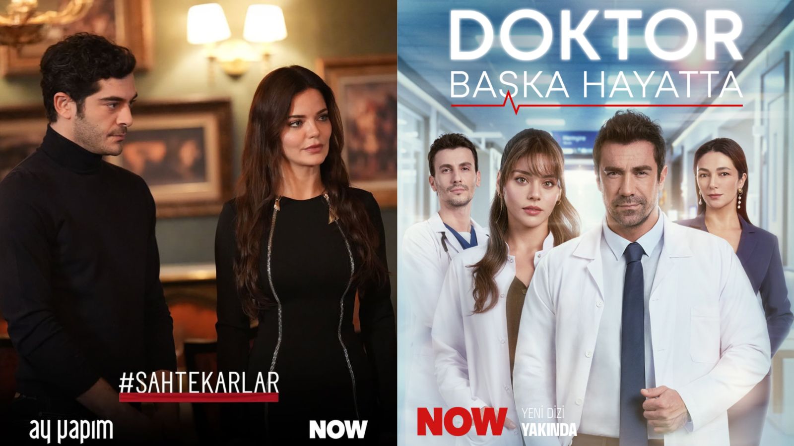 Sahtekârlar Doktor Başka Hayatta