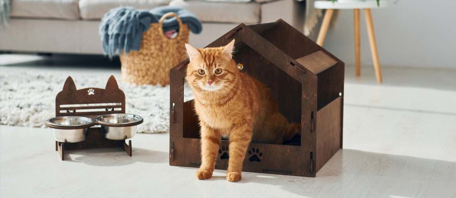 بت لاند Pet Land