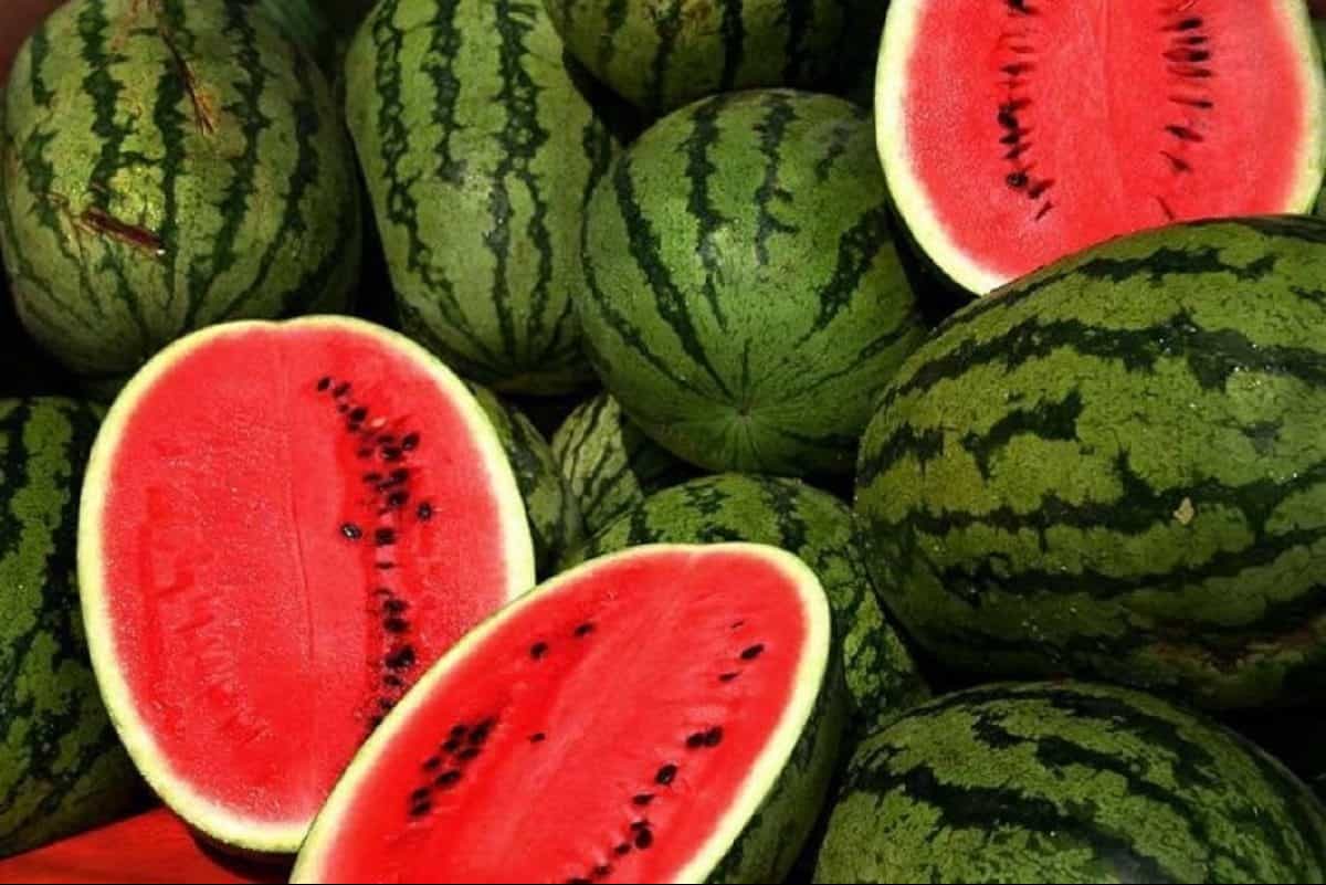 تفسير حلم رؤيا البطيخ الأخضر في المنام للمطلقة