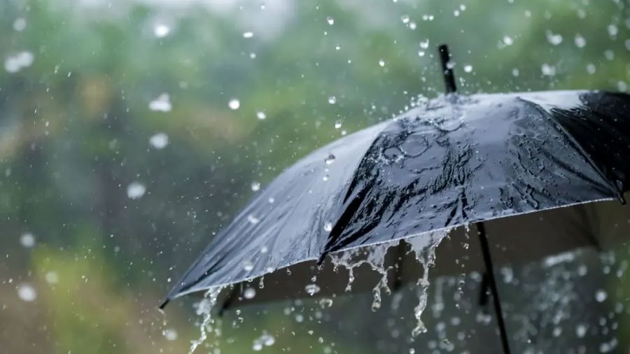 تفسير حلم نزول المطر في الفم للرجل المتزوج