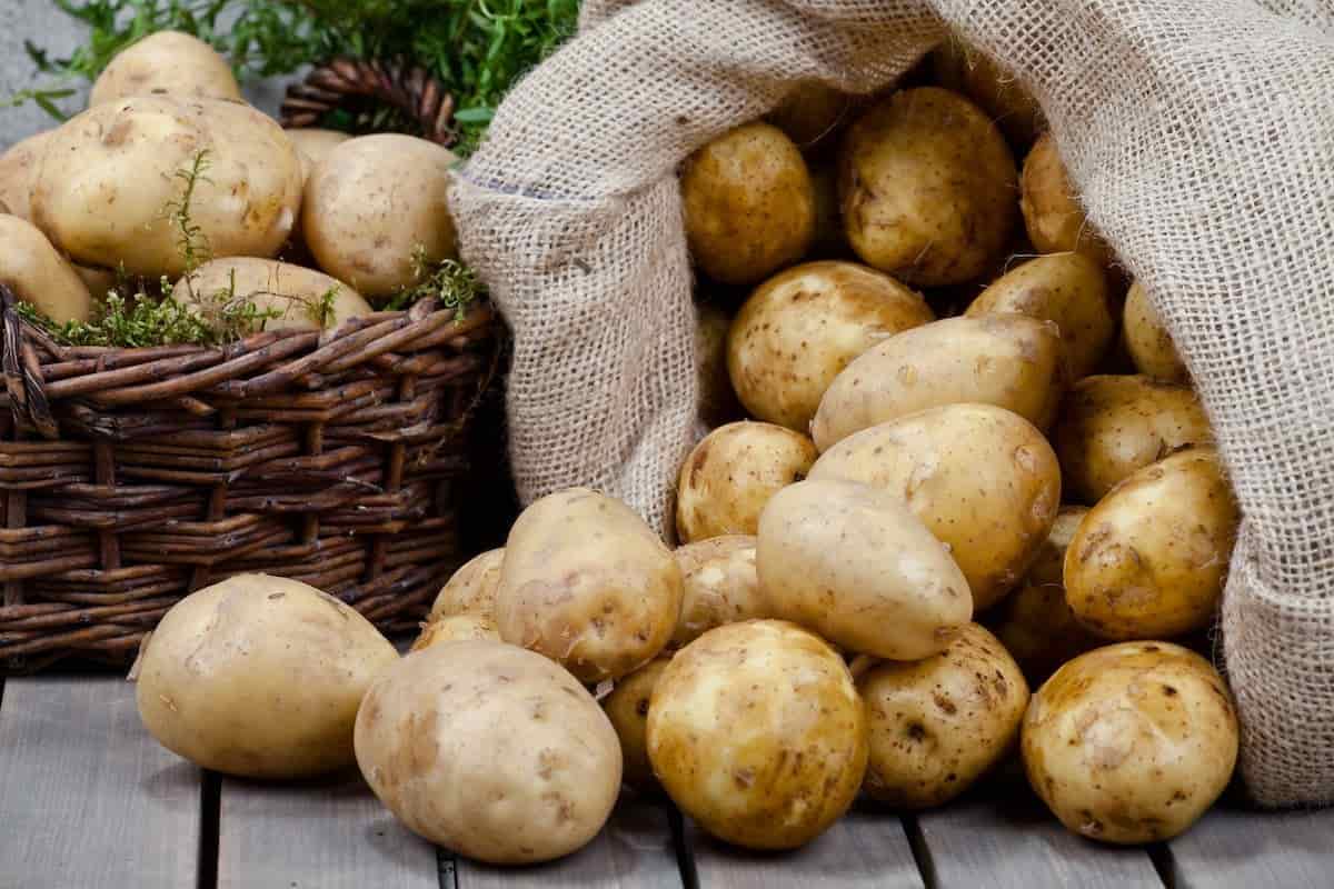 تفسير رؤية البطاطس في المنام للعزباء