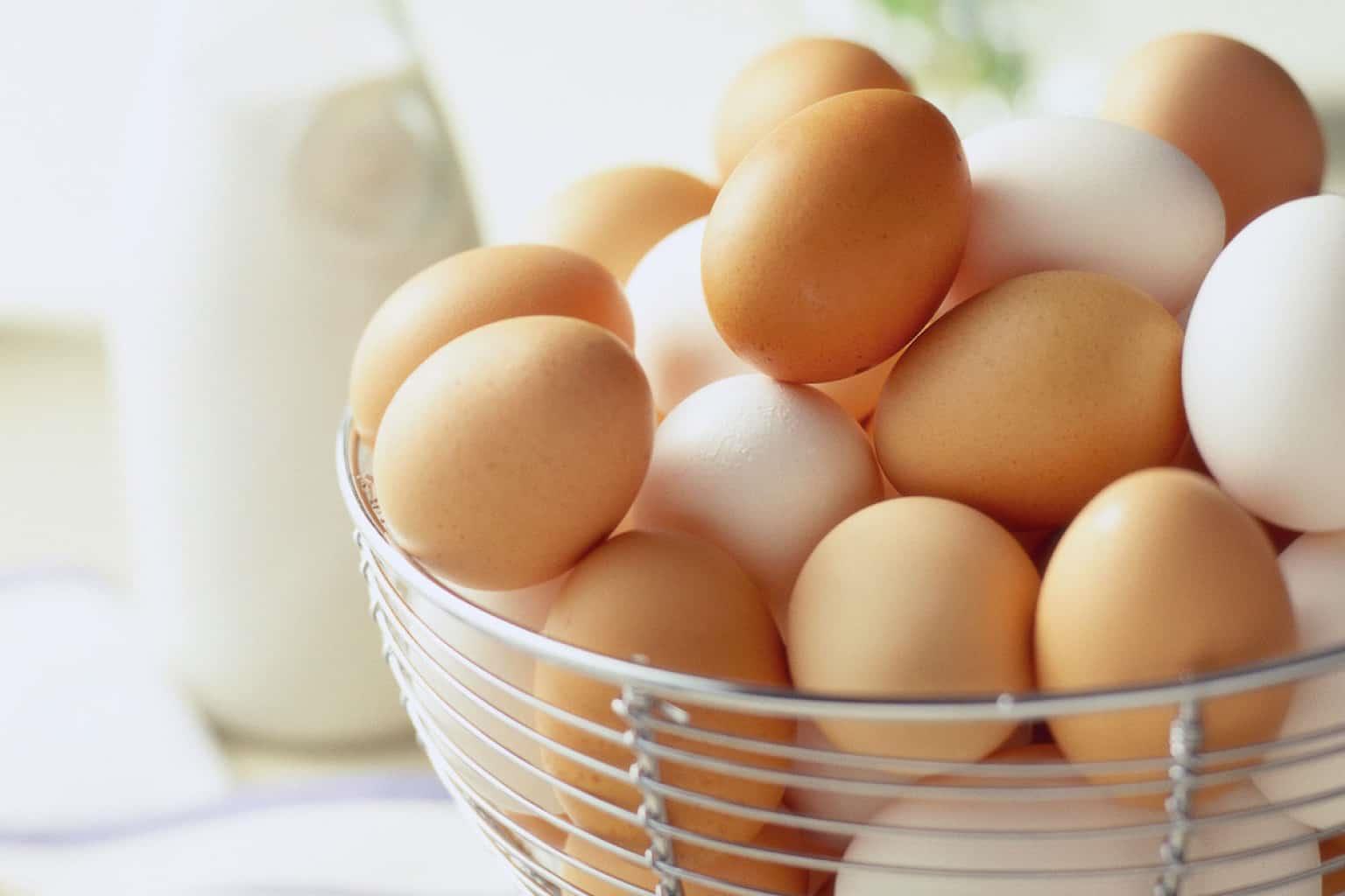 تفسير رؤية البيض الكثير في المنام للرجل