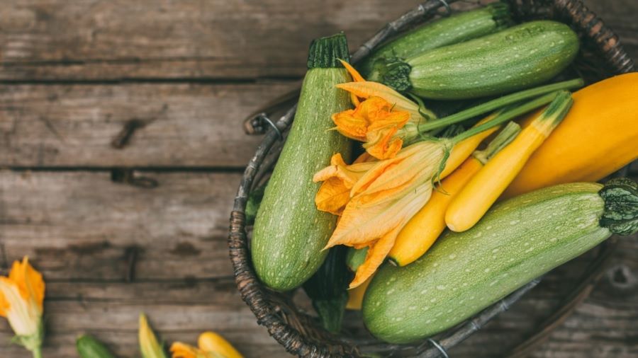 تفسير رؤية الكوسا في المنام لابن سيرين