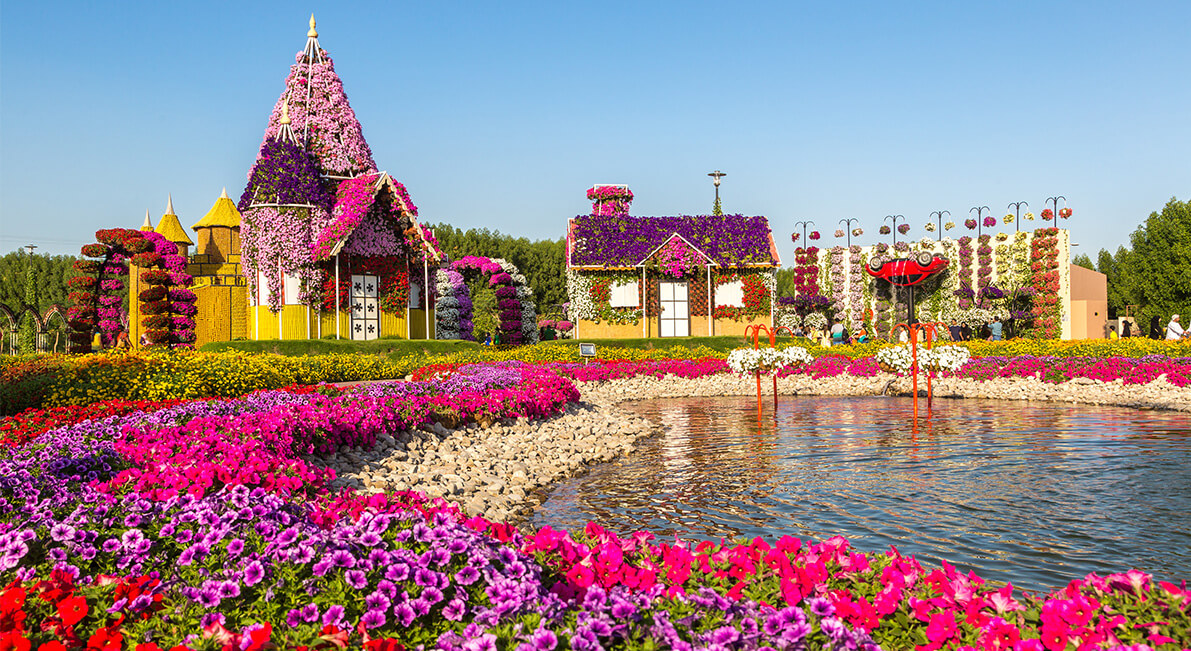 حديقة الزهور