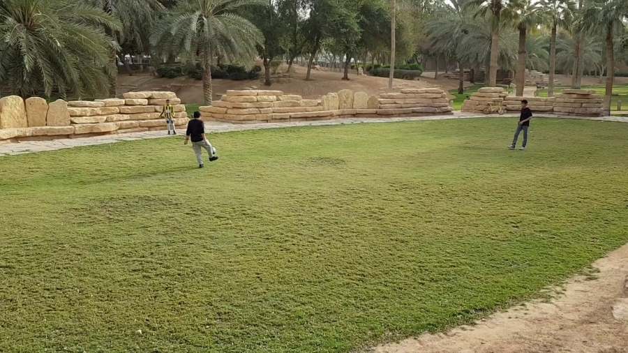 دخول ملعب كرة قدم