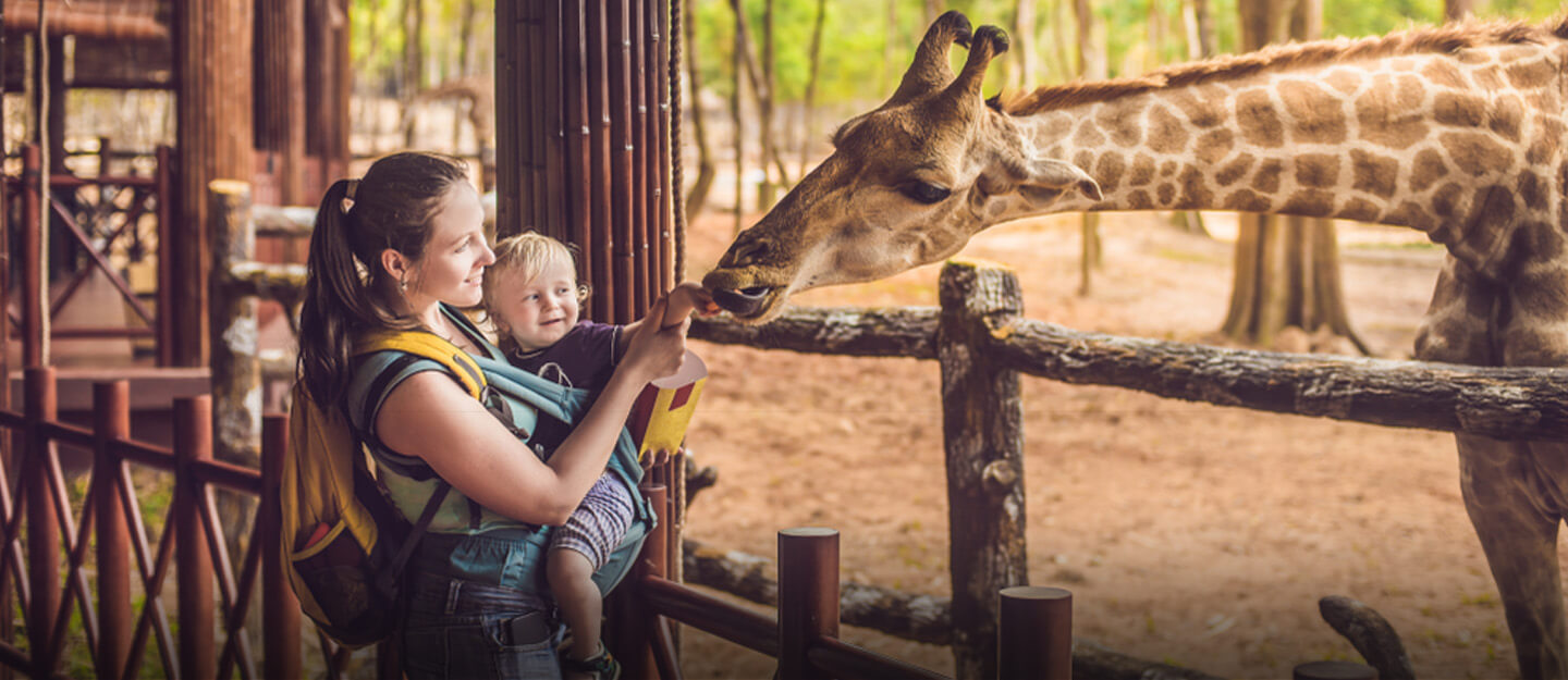 سفاري بارك دبي