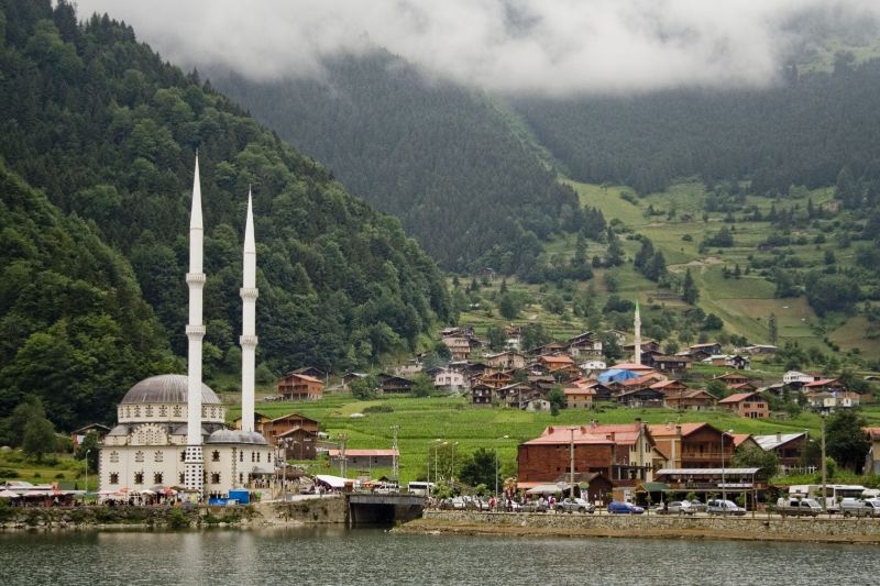 مدينة يلوا
