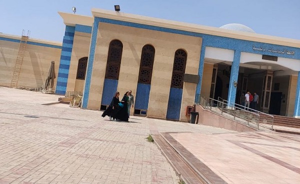 دينا الشربيني