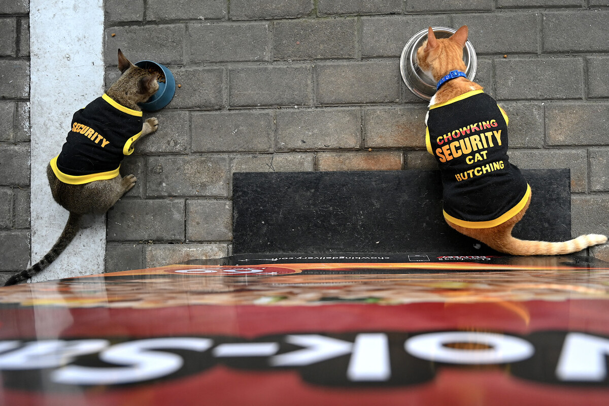 security guards