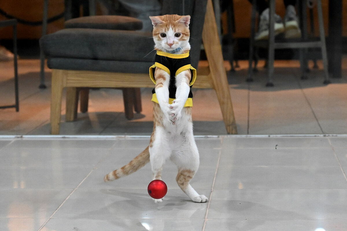 security guards
