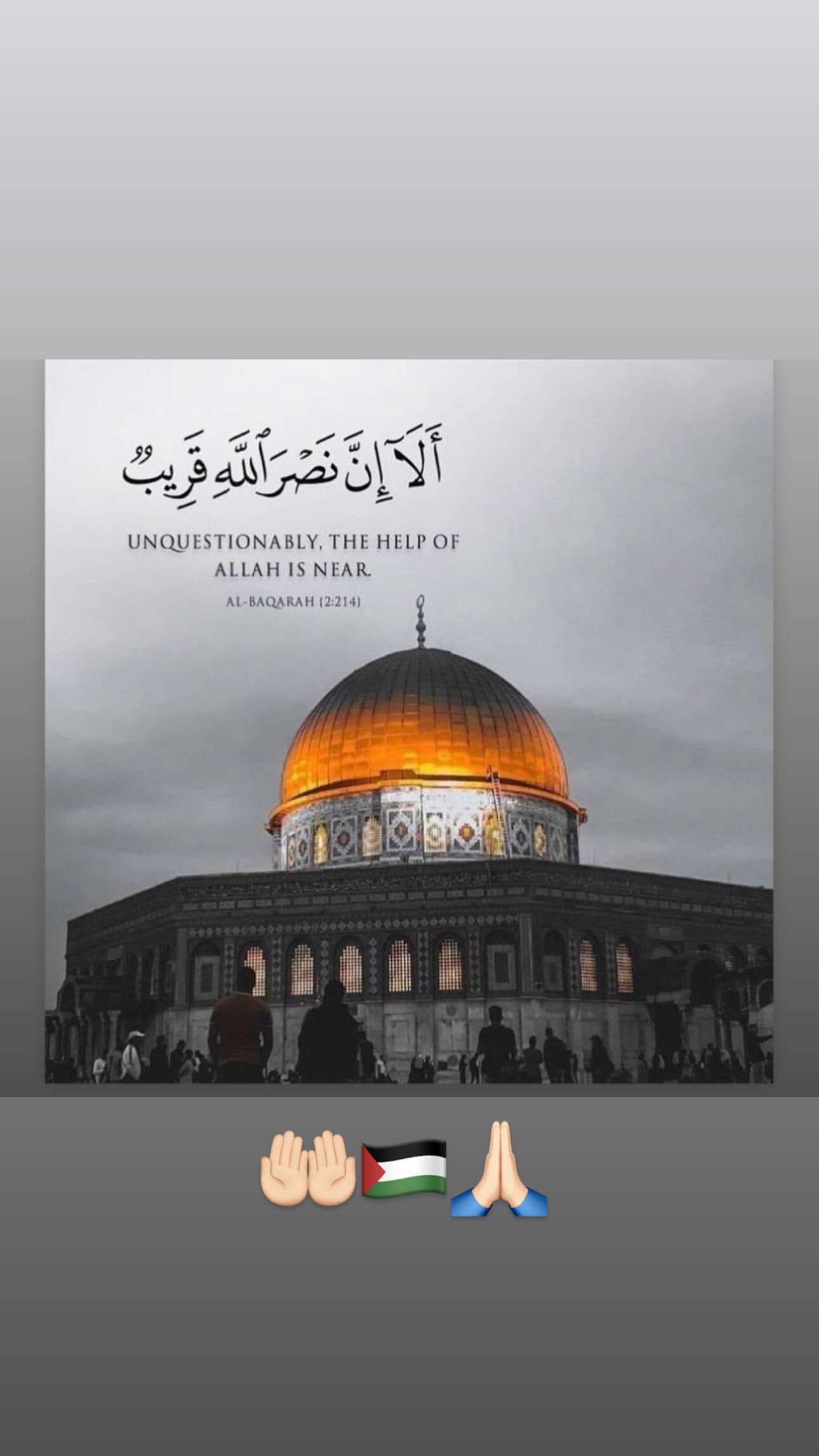 رياض محرز