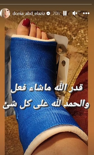 دنيا عبد العزيز