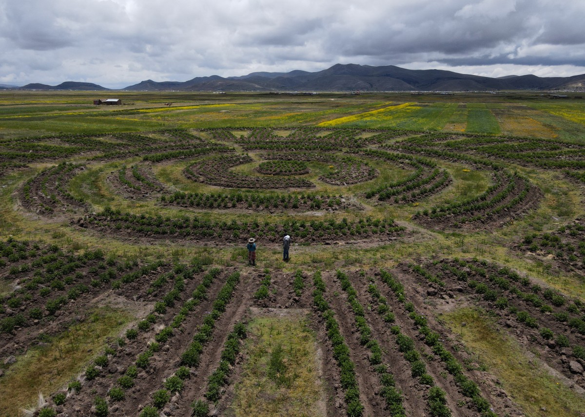 farming technique