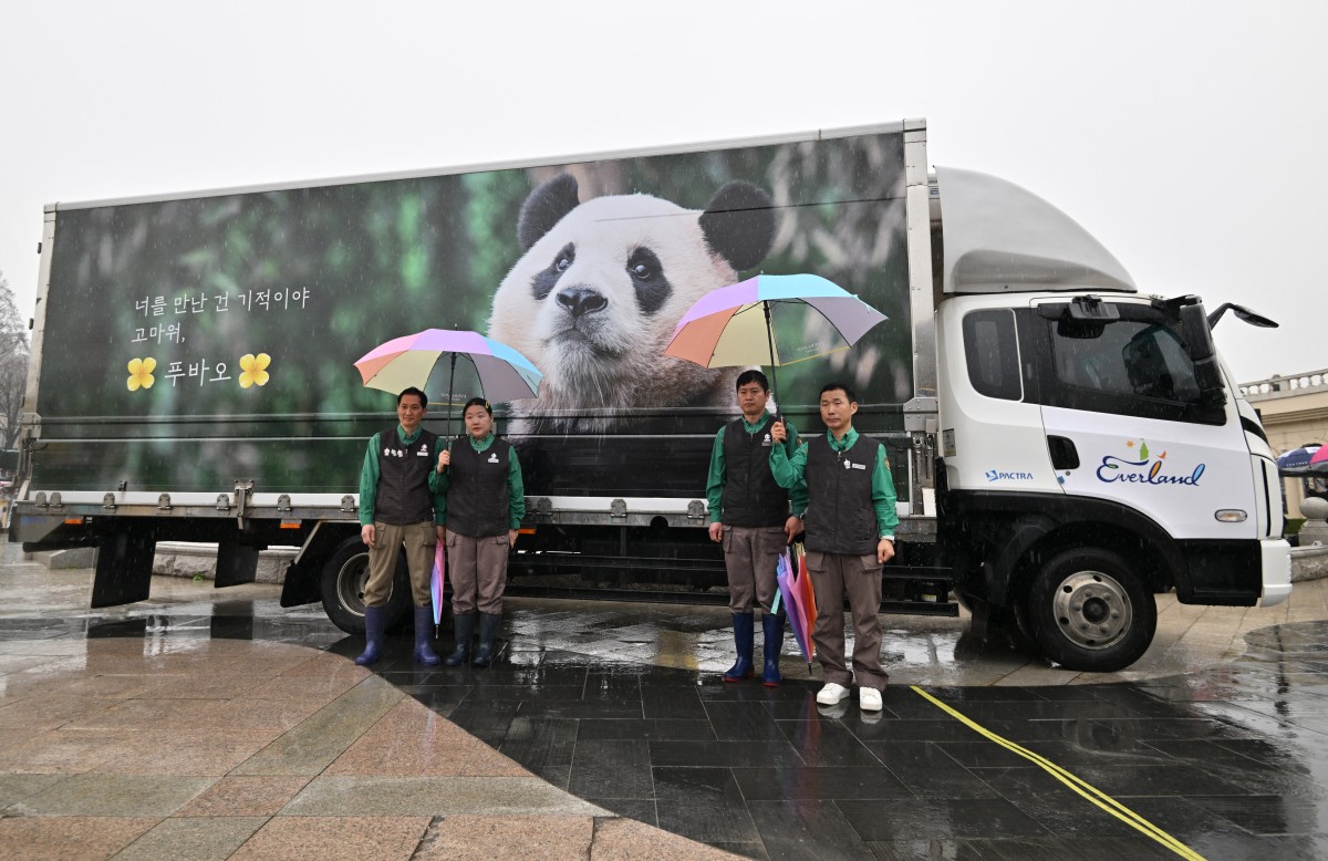 panda
