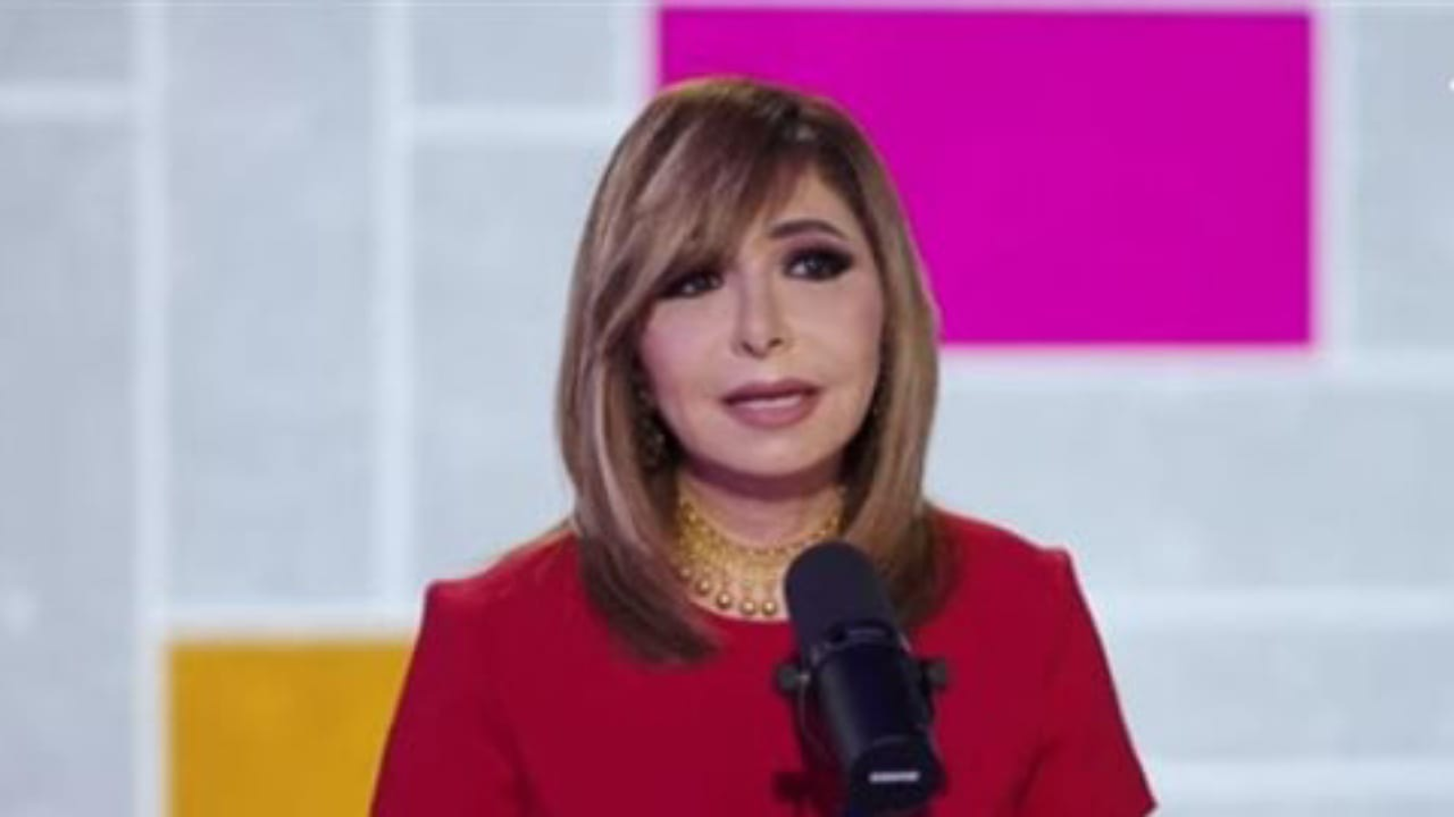 لميس الحديدي