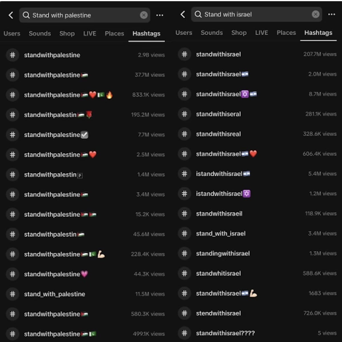 TikTok يدعم المحتوى الفلسطيني