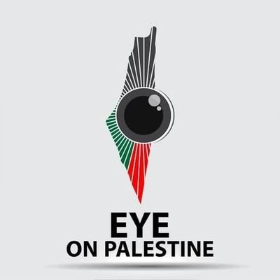 عين على فلسطين