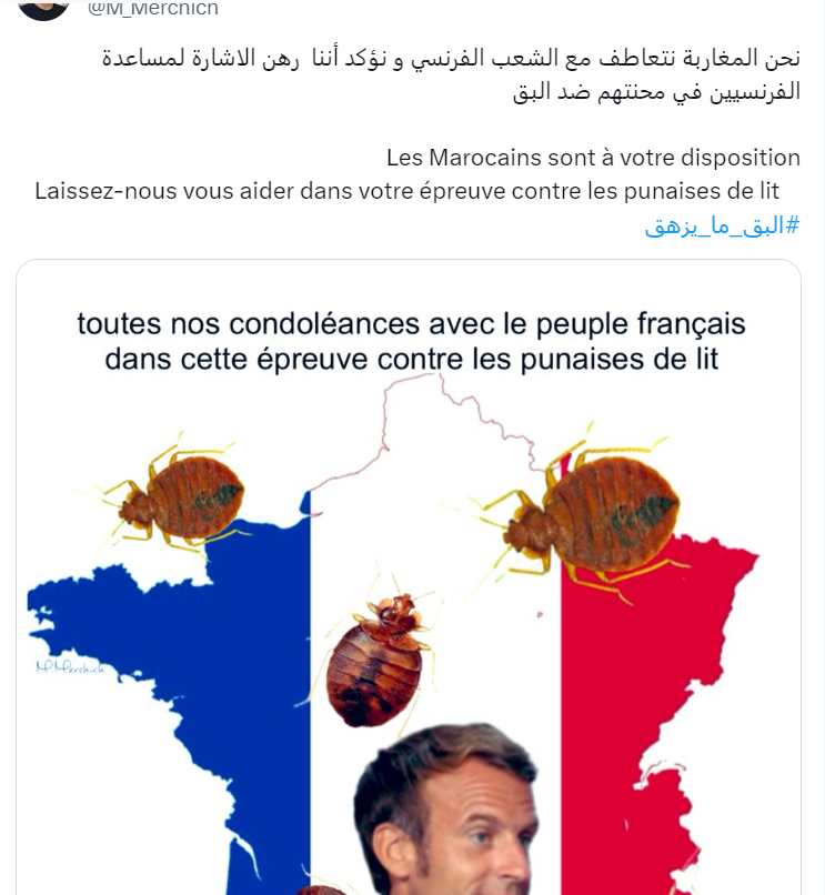 بق الفراش فرنسا 