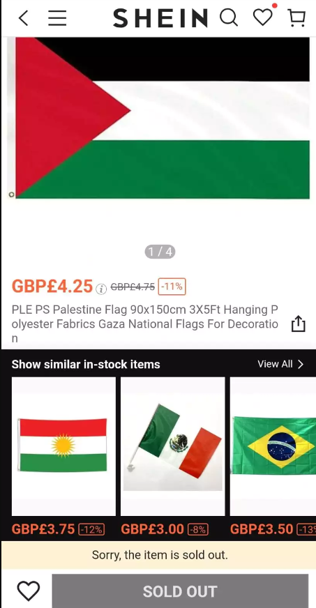 شي إن فلسطين