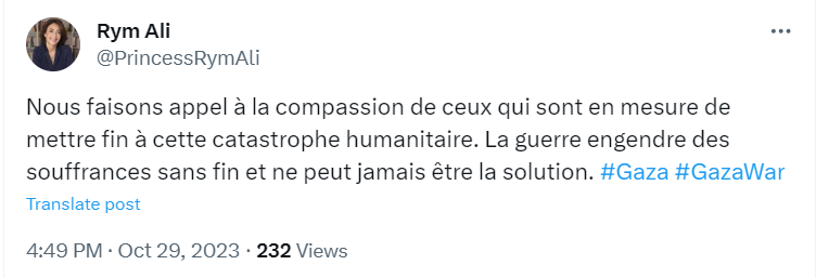 الأميرة ريم علي