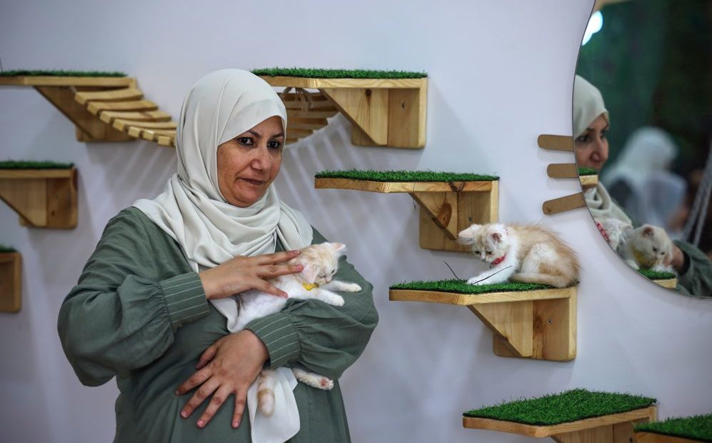 السيدة نعمة معبد