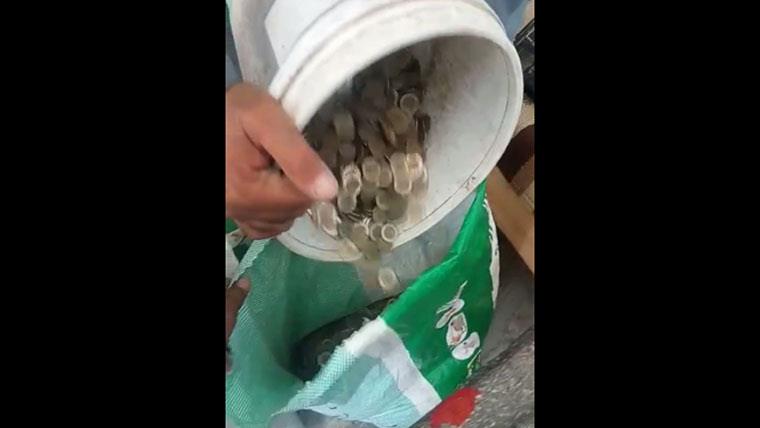 مليون جنيه في حوش غوايش