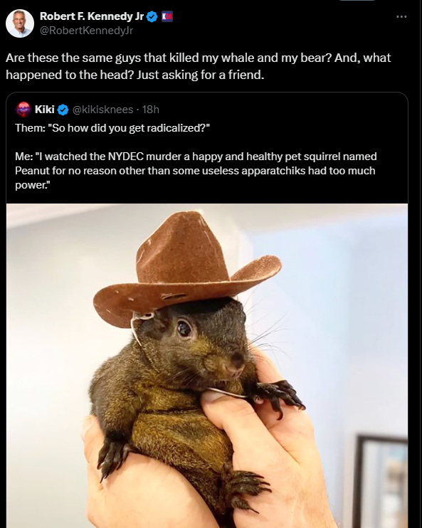 Peanut the squirrel