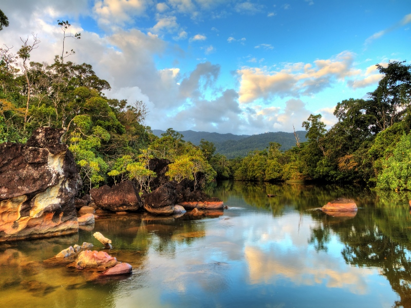 هل تخططين لقضاء شهر عسل لا ينسى .. فكري في مدغشقر؟