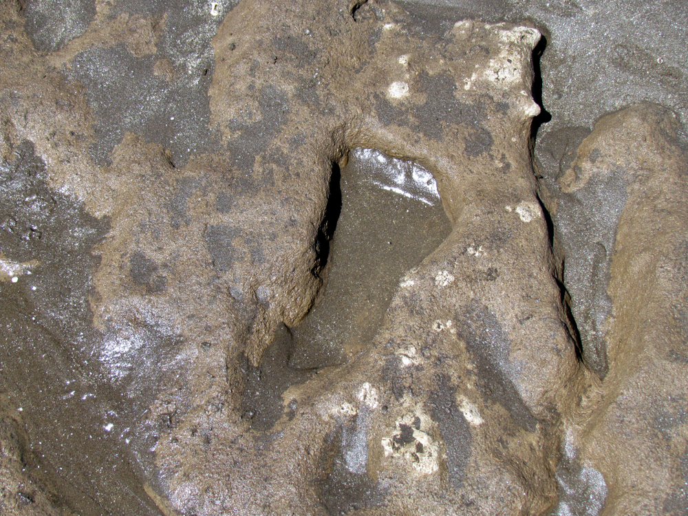 human footprints