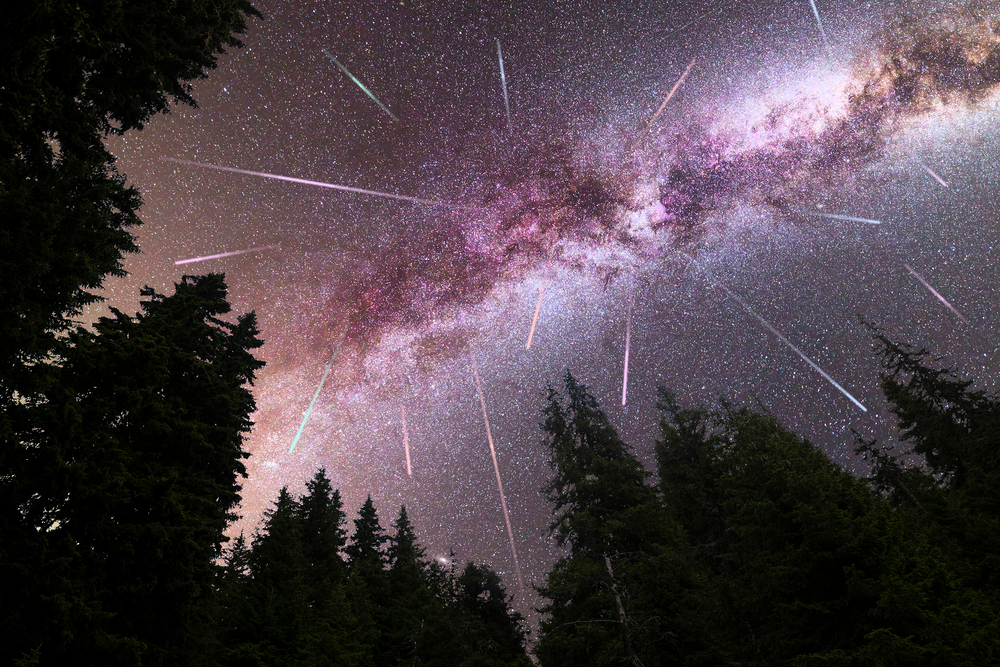 Leonid meteor shower