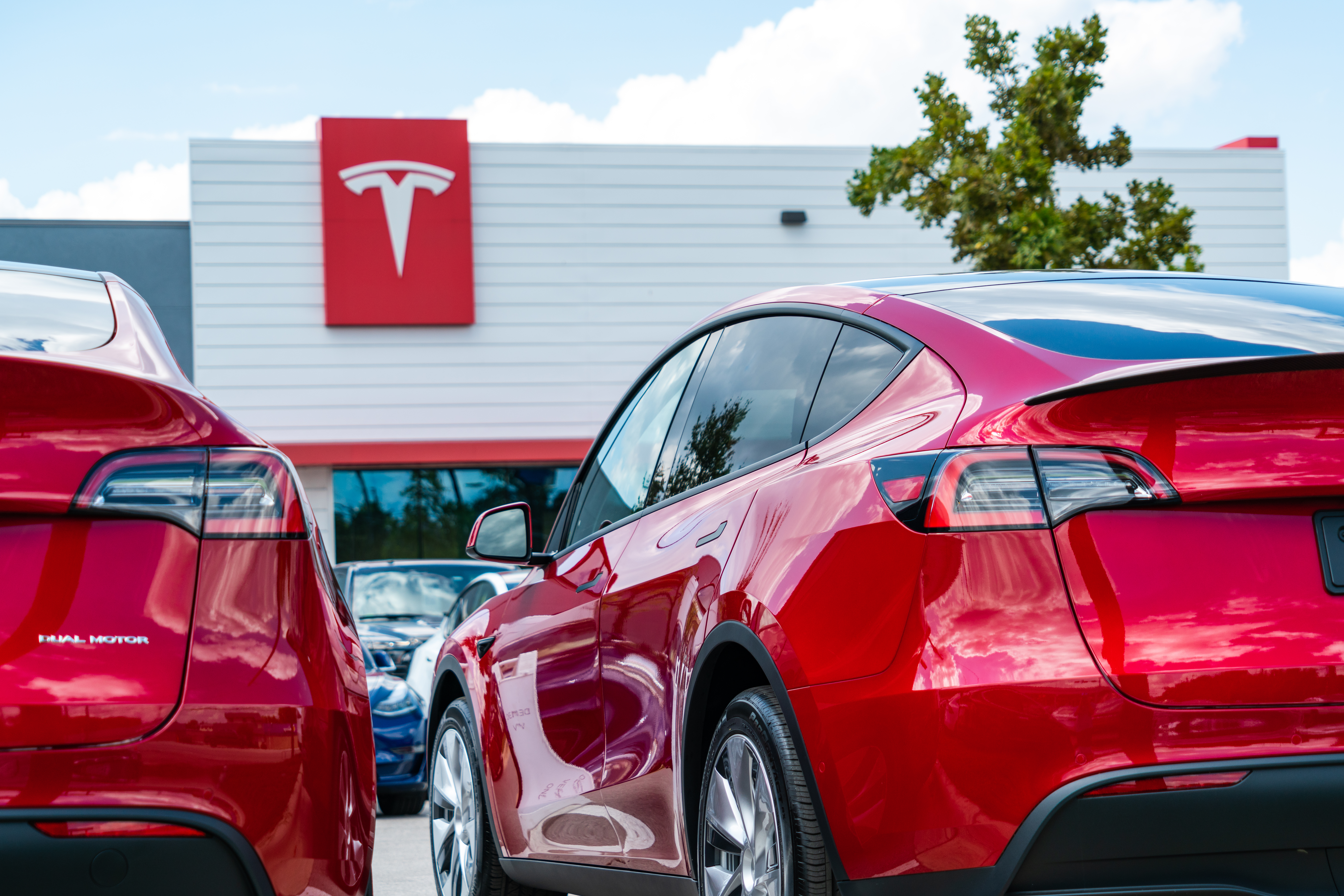 Tesla Model Y السيارة الاكثر مبيعا في العالم..وايلون ماسك يصيب في توقعاته