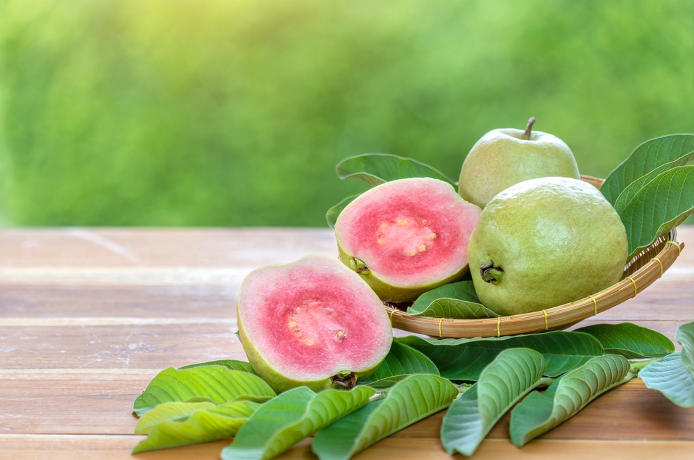 guava leaves