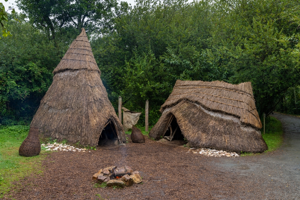 stone age